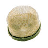 1/4" FPT 50 Mesh Tank Screen 2990