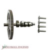 Camshaft 790562