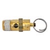 Safety Valve Assembly GR000600AJ