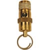 1/4" NPT Safety Valve Assembly GR002100AJ