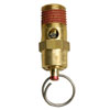 1/4" NPT Safety Valve Assembly GR002200AJ
