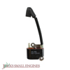 Ignition Module 545199901