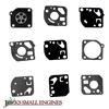 Gasket and Diaphragm Set JSE2672080