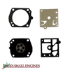 Diaphragm and Gasket Set JSE2672127