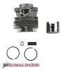 Cylinder Assembly JSE2672749