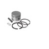 Piston Kit 36308