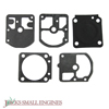 Gasket and Diaphragm Set JSE2672069
