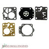 Gasket and Diaphragm Set JSE2672074