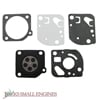 Gasket and Diaphragm Set JSE2672079