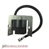 Ignition Coil JSE2673529