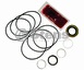 Wheel Motor Seal Kit 025511