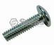 SCREW 416100