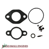 Carburetor Kit 055525