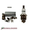 Tune Up Kit 450668