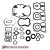 Gasket Set 480069