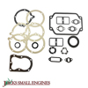 Gasket Set 480323