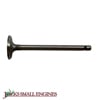 Intake Valve 505012