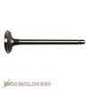 Exhaust Valve 505044