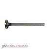 Exhaust Valve 505529
