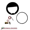 Carburetor Kit 520213