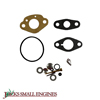 CARBURETOR KIT 520320