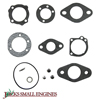 CARBURETOR KIT 520350