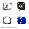 Gasket and Diaphragm Kit 615094