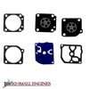 Gasket and Diaphragm Kit 615098
