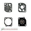 Gasket and Diaphragm Kit 615241