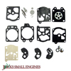 Carburetor Kit 615245