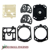 Gasket and Diaphragm Kit 615401