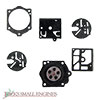 Gasket and Diaphragm Kit 615405
