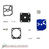 Carburetor Kit 615441