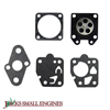 Gasket and Diaphragm Kit 615831