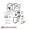 Overhaul Kit 785576