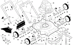 Rotary Lawn Mower