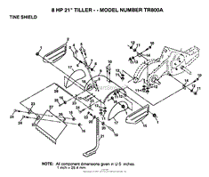 TINE SHIELD