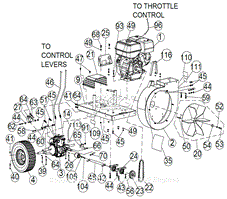 Engine Assembly