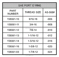 SAE Port O Ring