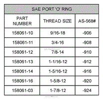 SAE Port O-Ring