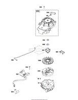 Flywheel, Ignition, and Starter Group