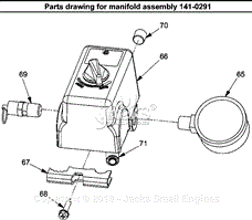 Manifold