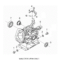 G250FDS Crankcase Assembly