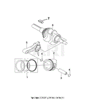 LC190FDS Crankshaft Piston Assembly