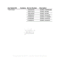 P021010220 Gasket Kit