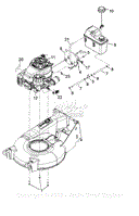 Engine Assembly