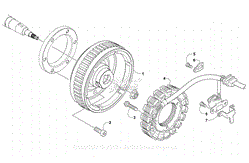 MAGNETO ASSEMBLY