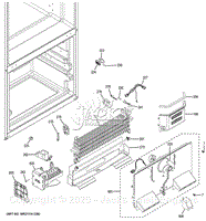 Freezer Section