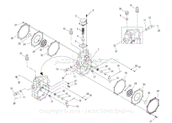 Gas Regulator