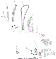 Cam Chain And Sprocket